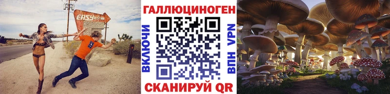 Псилоцибиновые грибы Cubensis  Спас-Деменск 